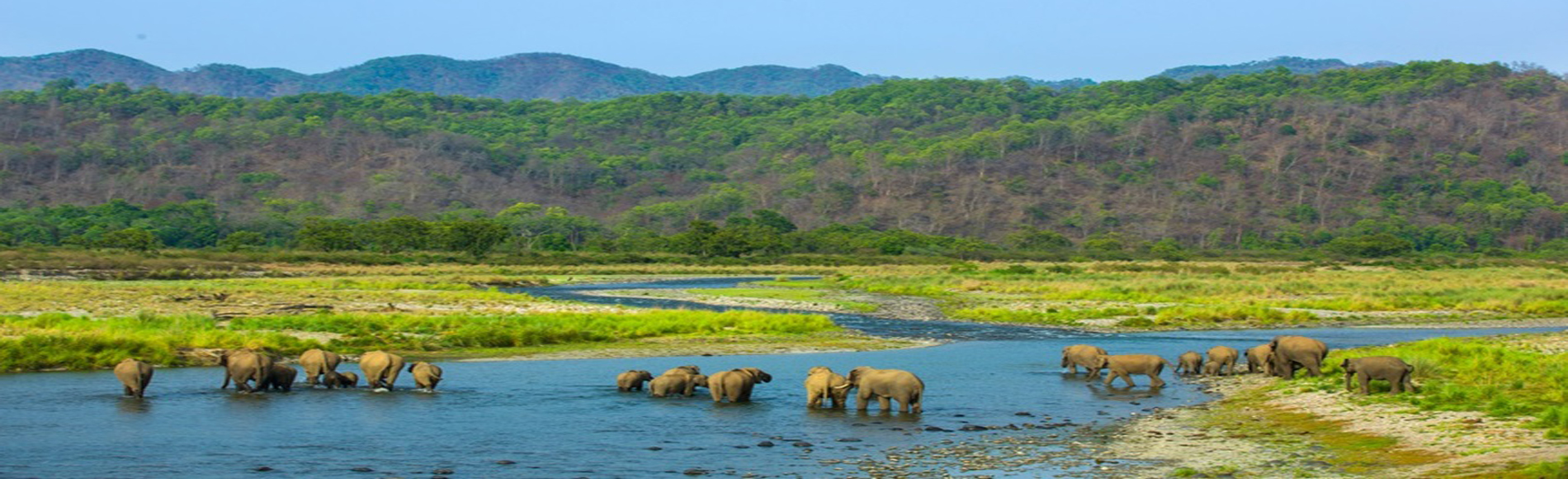 Corbett Tour Packages